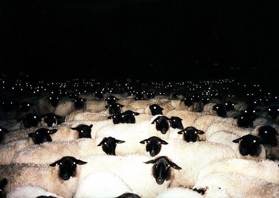 01 xronia therismou