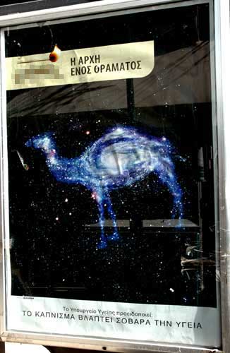 Camel