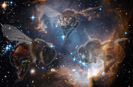 Cosmicbees