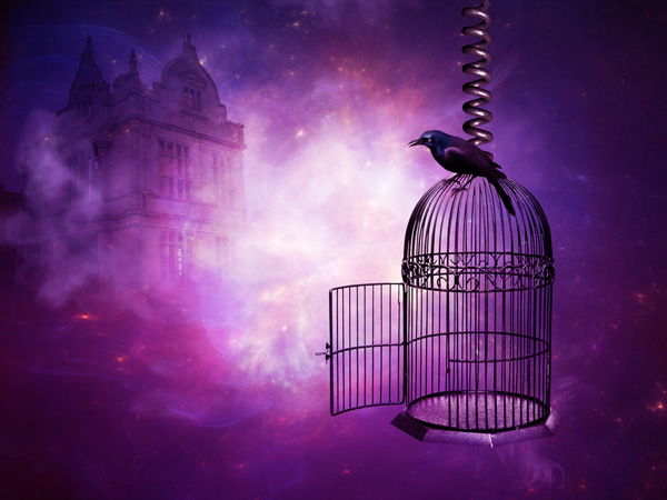 Crow