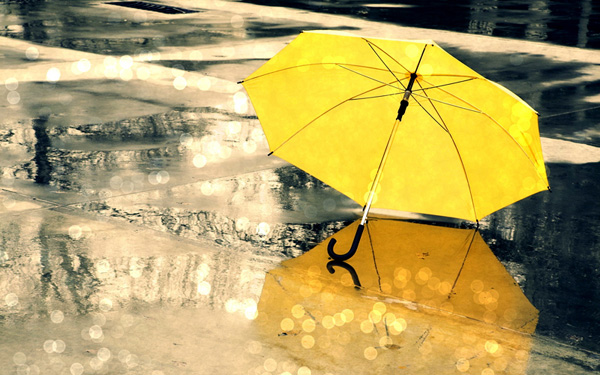 Umbrella